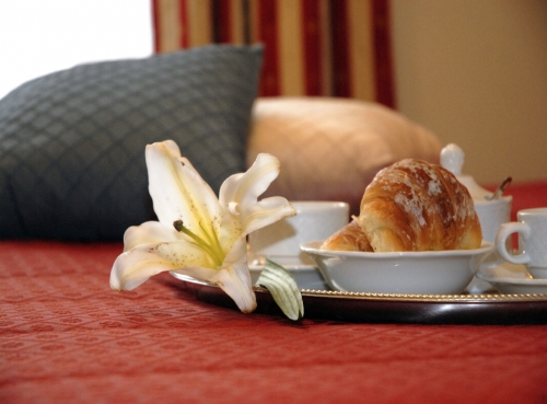 Lucci Hotel Roma - Camera hotel