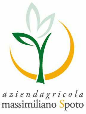 Olio di Oliva extravergine DOP Sicilia AZIENDA AGRICOLA SPOTO