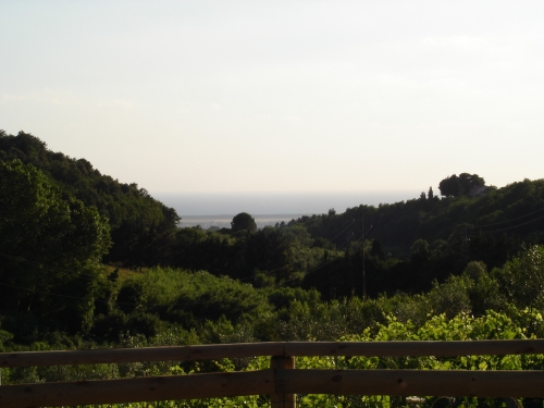 panorama