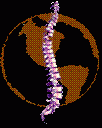 Riabilitazione casalotti, logopedia casalotti, fisioterapia roma casalotti GUIDO VIOLA
