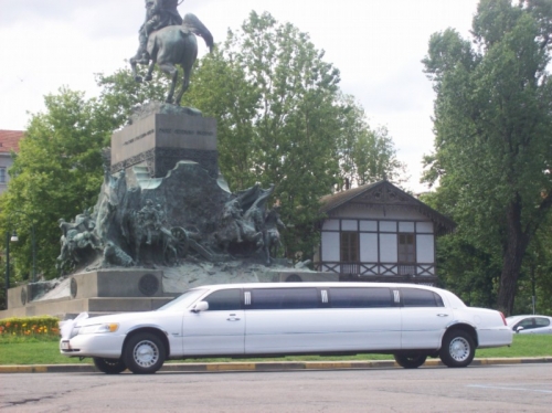 limousine torino