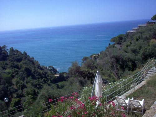 Il Parco naturale di olivi e macchia Mediterranea