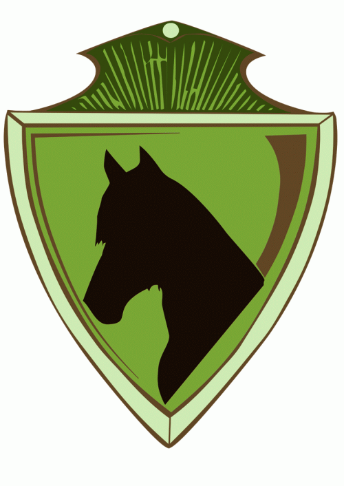 Sef-Italia Scuola Equestre di Formazione ASD SEF-ITALIA SCUOLA EQUESTRE DI FORMAZIONE
