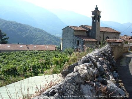 Vigna dove viene prodotto il Vino TERRE DI ERBANNO in Valle Camonica (Prov. di Brescia) - Italy.