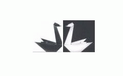 Informatica: Vulnerability Assessment , Analisi Forensics BLACK OR WHITE