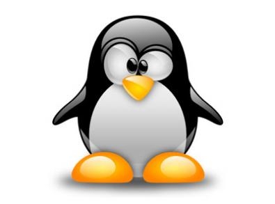 Server Linux