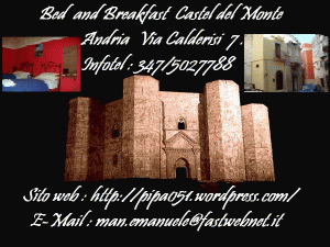 B&B Andria BT, hotel andria, agriturismo, andria, trani, casa vacanze, affittacamere,barletta, barletta-andria-trani,puglia imperiale, last minut di capodanno, b&b puglia a natale, b&b andria Pasqua, b&b Salento, ostello andria, B&B CASTEL DEL MONTE
