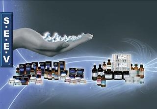 MEDICAL S.E.E.V Srl