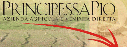 Azienda Agricola, agriturismo  Principessa Pio AZIENDA AGRICOLA PRINCIPESSA PIO