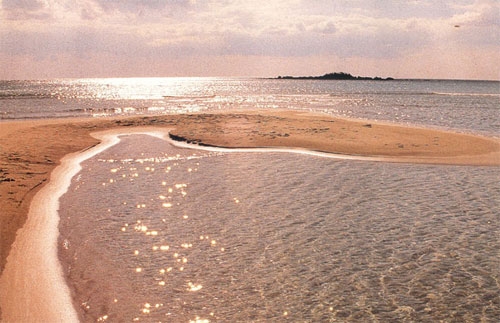 Pescoluse