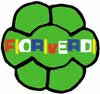 PROGETTIMUSICALI.COM PROGETTIMUSICALI.COM
