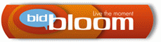 sito di entertainment shopping: aste on line a prezzo dinamico BIDBLOOM