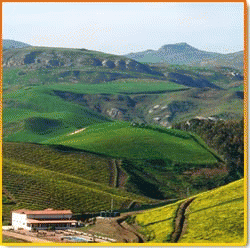 Agriturismo, Case vacanze, bed & breakfast AGRITURISMO GABILIA