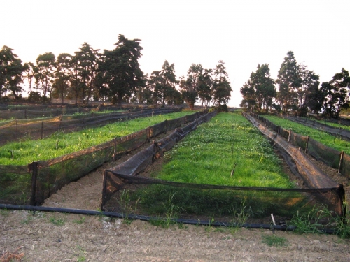 L'azienda