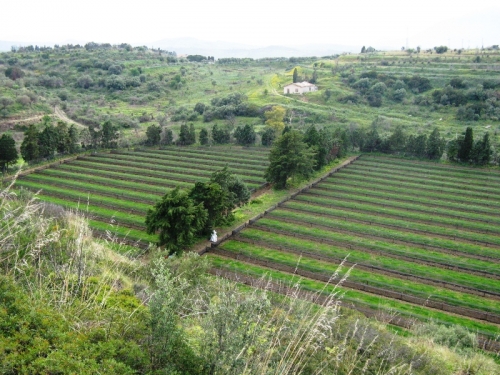 L'azienda