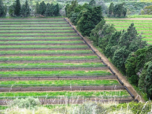 L'azienda