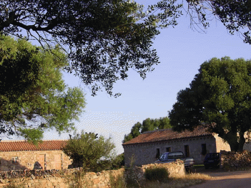 Vacanza in Costa Smeralda, Agriturismo in Gallura, Agriturismo Olbia AZIENDA AGRICOLA SPRIDDA DI RICCIU GIOVANNA MARIA
