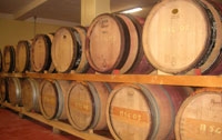 Vini e bevande Ascoli Piceno