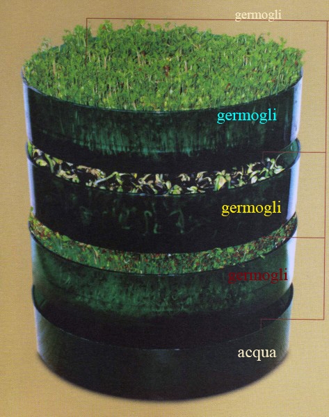 germogliatore